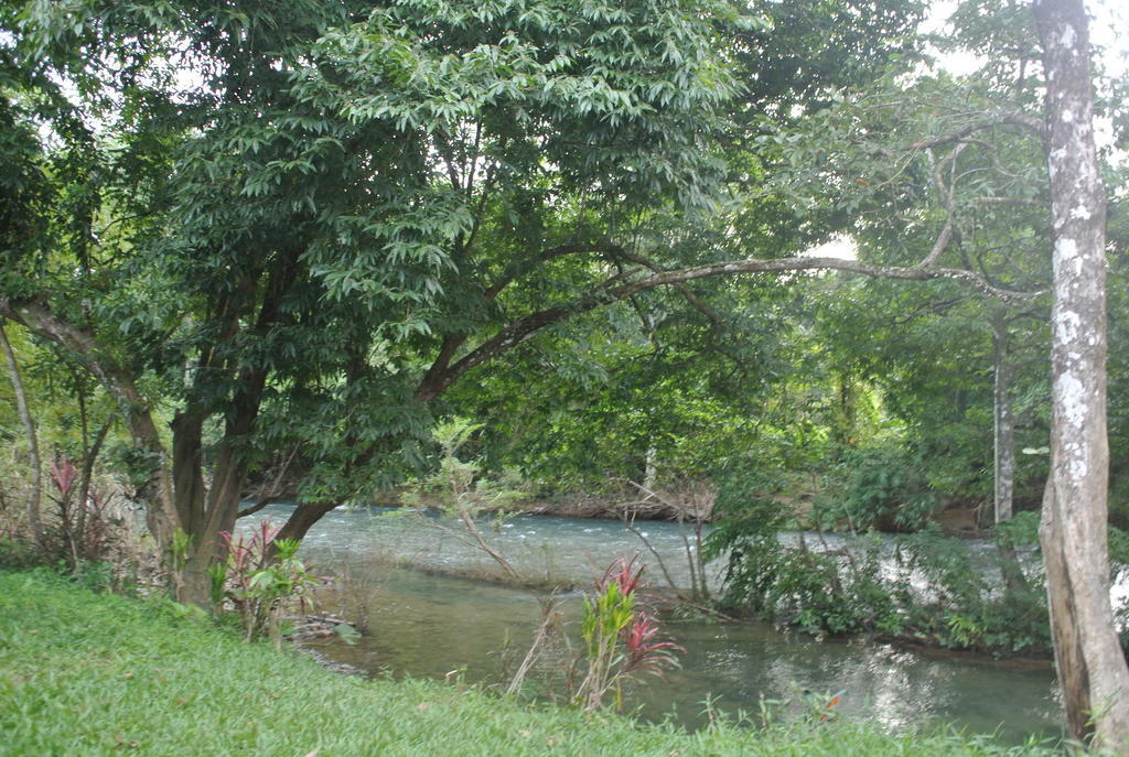 Khaosok Island Resort Khao Sok National Park Εξωτερικό φωτογραφία