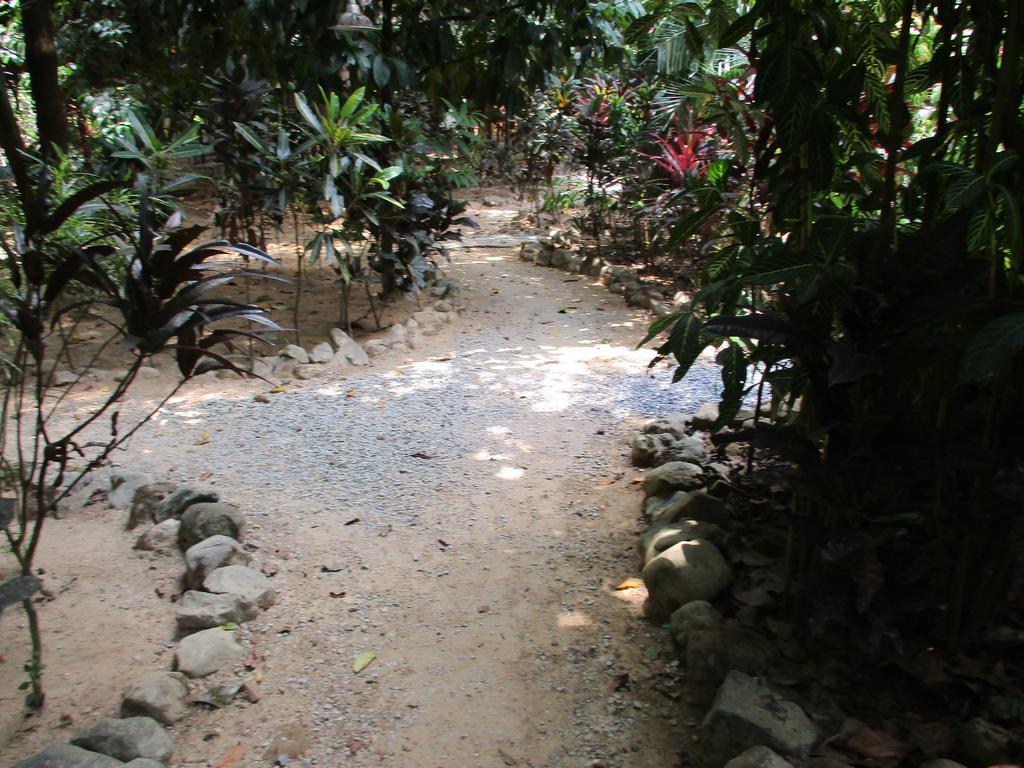 Khaosok Island Resort Khao Sok National Park Εξωτερικό φωτογραφία